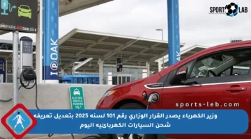 وزير الكهرباء يصدر القرار الوزاري رقم 101 لسنة 2025 بتعديل تعريفة شحن السيارات الكهربائية اليوم